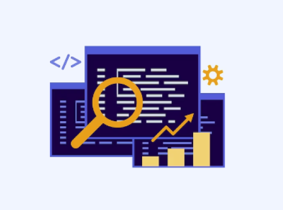 Custom Code Audits