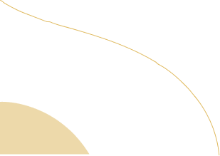 Development Firm