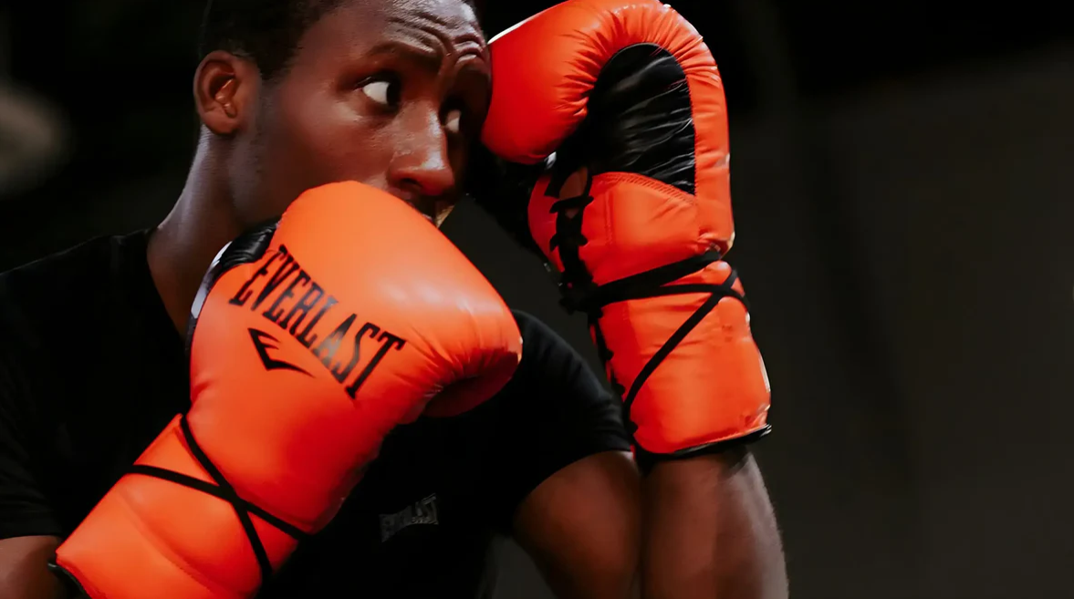 Shopify + Arctic Grey + Everlast2