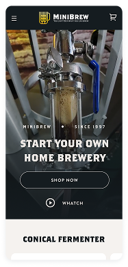 Mobile Optimization